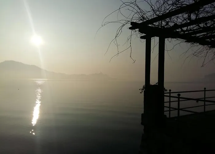 Carla 메이나